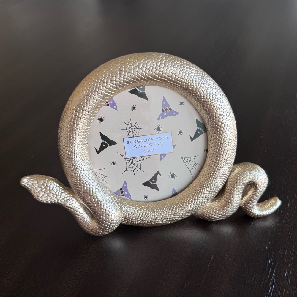 Snake Picture Frame 4x4